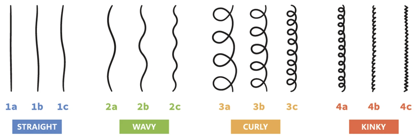 Hair type reference chart